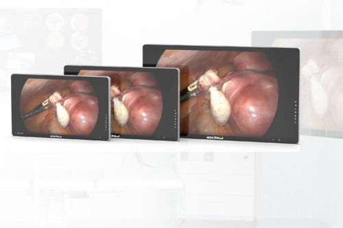 Medical display - Lianying Medical Technology - endoscopy / full HD / 4K