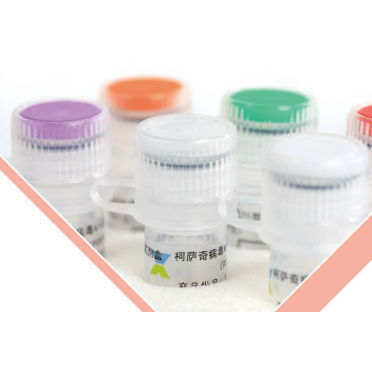 Infectious disease test kit - BEIJING APPLIED BIOLOGICAL TECHNOLOGIES - immunity / virus / enterovirus