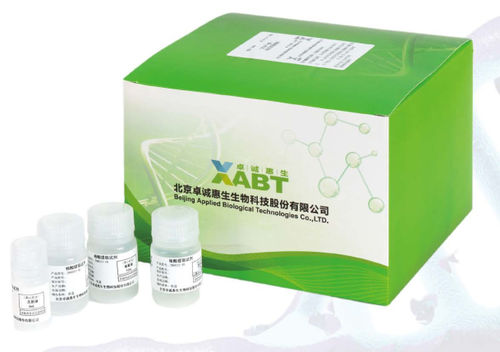 Nucleic acid reagent kit - CN8033-48 - BEIJING APPLIED BIOLOGICAL TECHNOLOGIES - proteinase K / buffer solution / for DNA extraction