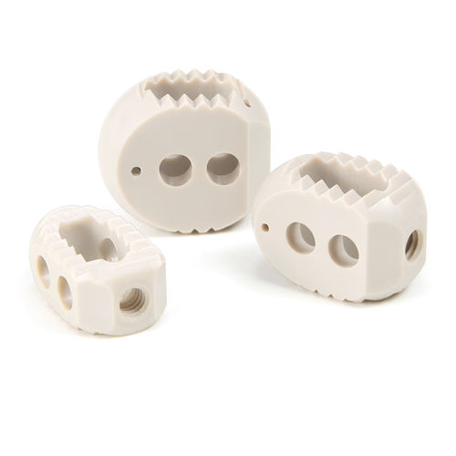 Thoraco-lumbar interbody fusion cage - 510K-152200 - SurgTech - posterior / PEEK