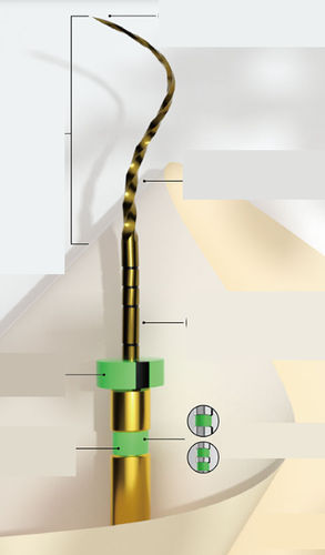 Dental drill bit - E-FLEX GOLD - Changzhou Sifary Medical Technology - metallic