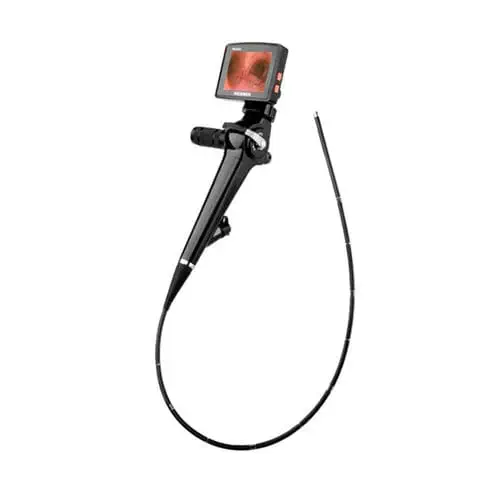 Chiroyli mushukni sikadi