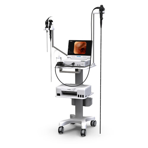 Video veterinary bronchoscope - VHP-1315 - Zhuhai Seesheen Medical Technology - for small animals / for large animals / for dogs