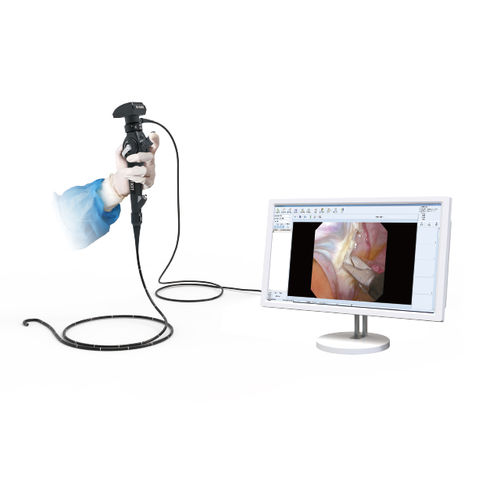 Video veterinary gastroscope - D-2322 - Zhuhai Seesheen Medical Technology