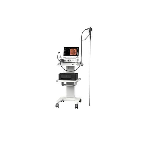 Video veterinary gastroscope - VHP-1315 pro - Zhuhai Seesheen Medical Technology - for large animals