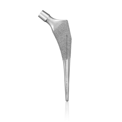 Cementless femoral stem - Wuhan Yijiabao Biological Materials - right / left