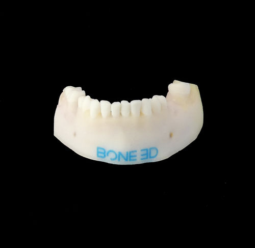Training simulator - BUCCO-Train - Bone 3D - for dental surgery / oral surgery / dental care