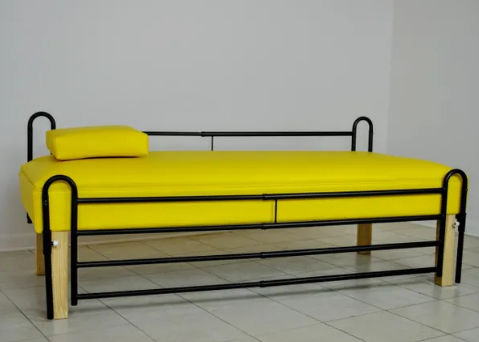 Bed rail - fortis manufacturing
