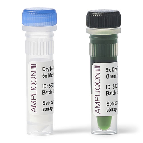 DNA polymerase reagent - DryTech - Ampliqon A/S - dye / for PCR / lyophilized