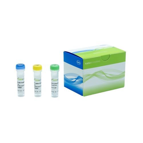 DNA polymerase reagent - KAPA EvoPrep Boost  - Roche Sequencing Solutions - reagent medium / enzyme / for PCR