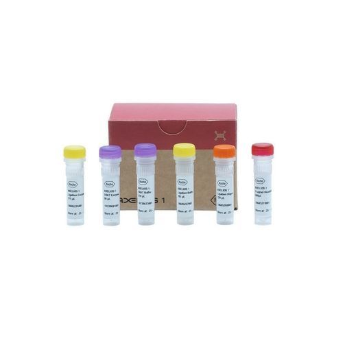 DNA ligase reagent - AXELIOS 1  - Roche Sequencing Solutions - reverse transcriptase / enzyme / for next-generation sequencing