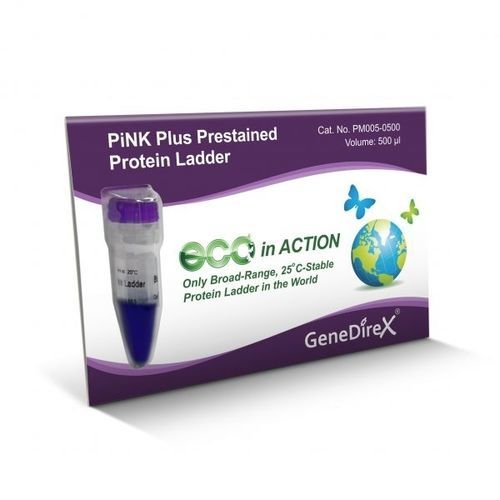 Protein ladder - PiNK Plus   - GeneDireX, Inc. - for Western blot