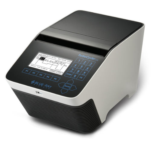 Gradient thermal cycler - TurboCycler Lite - Blue-Ray Biotech - 96-well