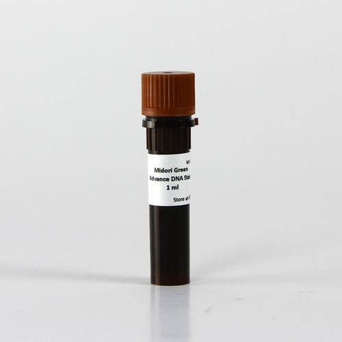 Agarose gel reagent - Midori - Nippon Genetics - stain / for nucleic acids