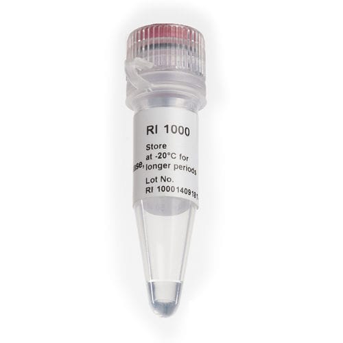 Taq DNA polymerase reagent - RNAok™ - SMOBIO Technology, Inc. - reverse transcriptase / RNase inhibitor / for RT-PCR