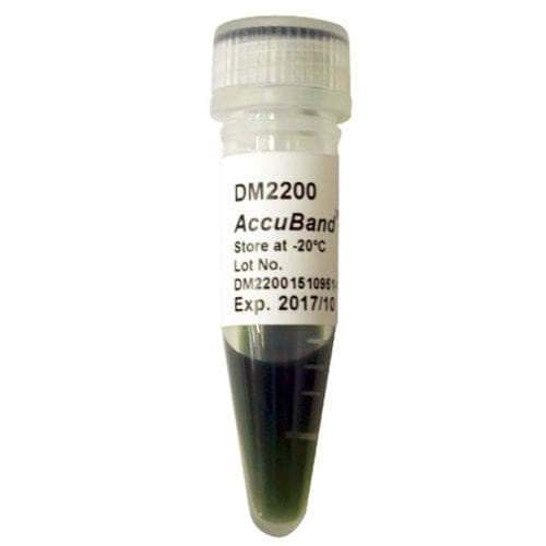 DNA ladder - AccuBand™  - SMOBIO Technology, Inc. - dye / for electrophoresis / pH
