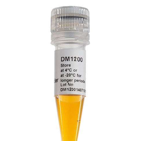 DNA ladder - DM1200 - SMOBIO Technology, Inc. - enzyme / dye / for electrophoresis