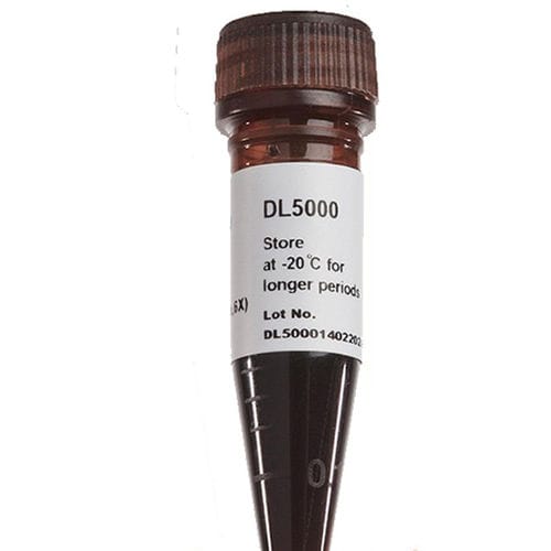 Dye reagent - FluoroDye™ - SMOBIO Technology, Inc. - for DNA extraction / glycerol