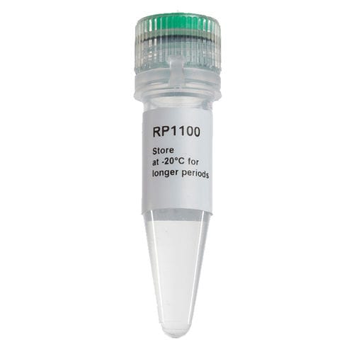 Enzyme reagent - ExcelRT™ - SMOBIO Technology, Inc. - for PCR / for RT-PCR