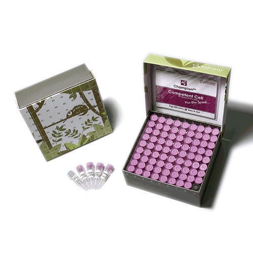 Buffer solution reagent - CC5202 - SMOBIO Technology, Inc. - for molecular biology / Escherichia coli