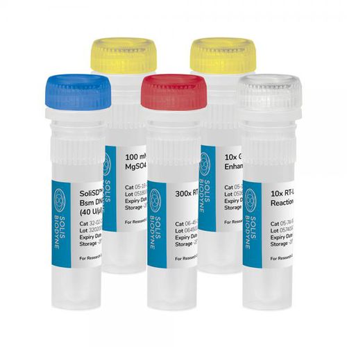 DNA polymerase reagent kit - SoliSD™ Lyo-compatible RT-LAMP Kit - Solis BioDyne - for isothermal amplification / LAMP kit