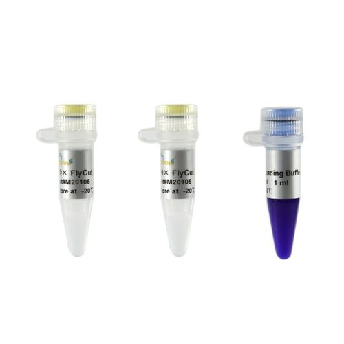 Enzyme reagent - FlyCut® Xmal - TransGen Biotech Co. - for molecular biology / genomic DNA / Escherichia coli