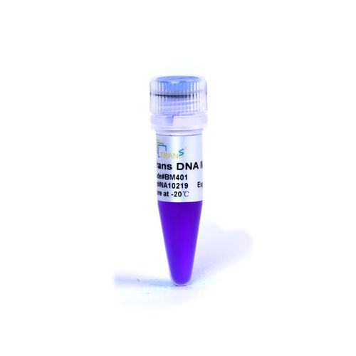 Agarose gel reagent - Trans - TransGen Biotech Co. - DNA ladder / for molecular biology / for nucleic acids