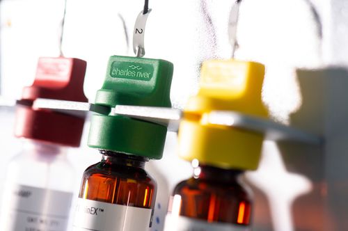 Enzyme reagent - Celsis®  - Charles River Laboratories - for microbiology / sample preparation / liquid