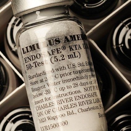 Endotoxin reagent - Endosafe® LAL - Charles River Laboratories - solution / for microbiology / bacteria