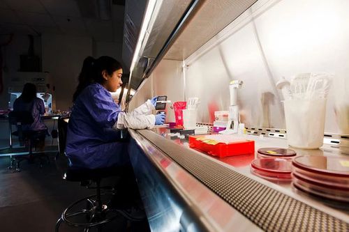 DNA sequencing system - AccuGENX-ID® - Charles River Laboratories - laboratory / data analysis