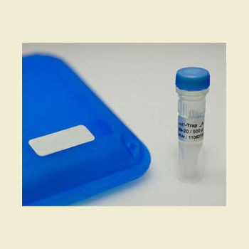 Antibody - RFP-Trap A - Bulldog Bio, Inc. - cell imaging / for biochemistry / protein