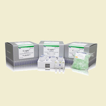 Buffer solution reagent kit - G-spin - Bulldog Bio, Inc. - blood sample / tissue / for DNA extraction