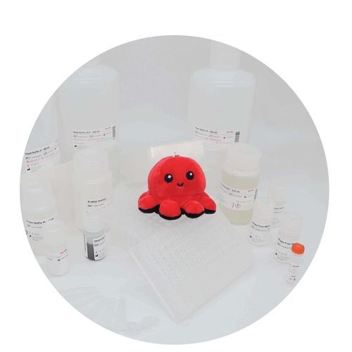 Solution reagent kit - InviMag&reg; Universal Kit/ KF96 - Invitek Diagnostics - for DNA extraction / for RNA extraction / diagnostic