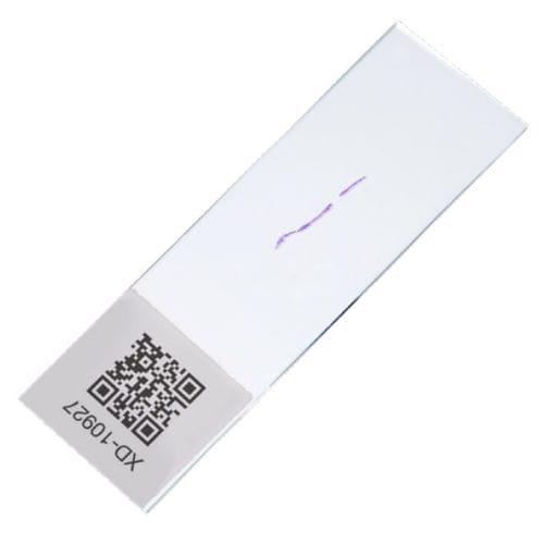 Lung cancer assay kit - EdgeSeq ALKPlus - HTG Molecular - oncology / tissue / laboratory