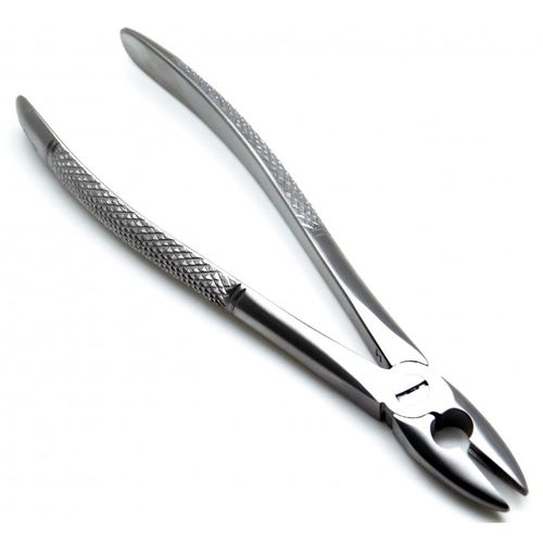 Dental forceps - TI-03-1004 - TRANSACT INTERNATIONAL - dental extraction / Mead / serrated