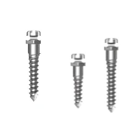Titanium dental mini-implant - Bracket Head - Osstem Implant France - internal / straight / screw