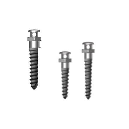 Titanium dental mini-implant - Through Hole Half Etched - Osstem Implant France - straight / screw / orthodontic anchor