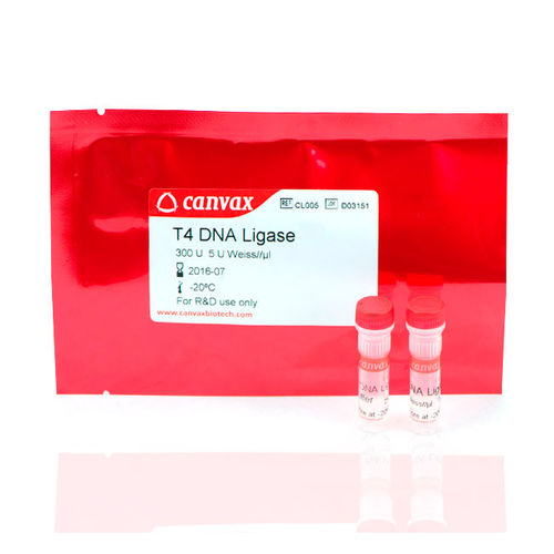 Dna Ligase Reagent Kit T Canvax For Nucleic Acids Escherichia Coli ...