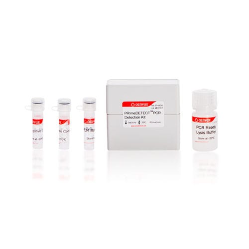 Research detection kit - PRImeDETECT™ - Canvax - Salmonella / for RT-PCR