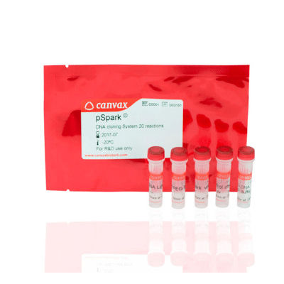 DNA ligase reagent kit - pSpark® II - Canvax - for PCR / for nucleic acids