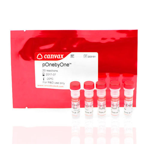 Solution reagent kit - pOnebyOne™ I  - Canvax - growth factor / for PCR