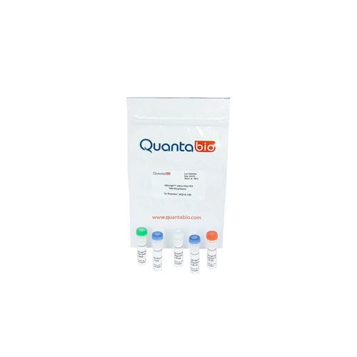 Reverse transcriptase reagent kit - qScript Ultra Flex - QuantaBio - for molecular biology / RT-qPCR