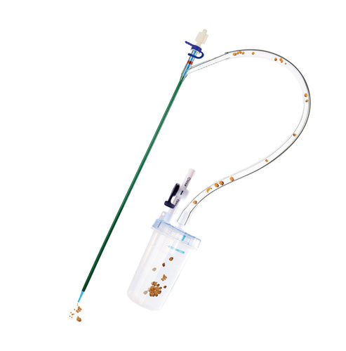 Ureteral access sheath - ClearPetra&reg; - Well Lead Medical - renal