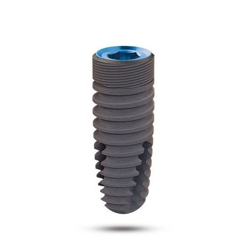 Conical dental implant - Winner - Eckermann - titanium / internal hexagon / anatomical