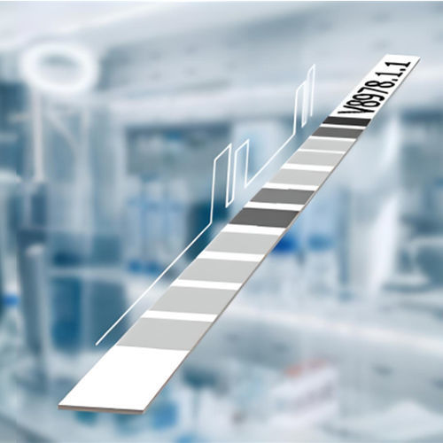 Celiac disease test kit CeliAK IgG LINE MEDIPAN GmbH IgG / serum