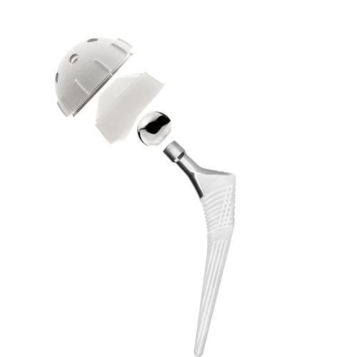 Primary hip prosthesis - Ortonom Medikal - cementless
