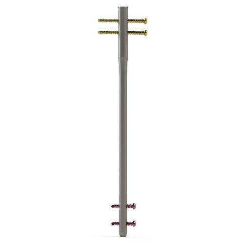 Femoral intramedullary nail - 4122 series - Zimed Medical - metallic