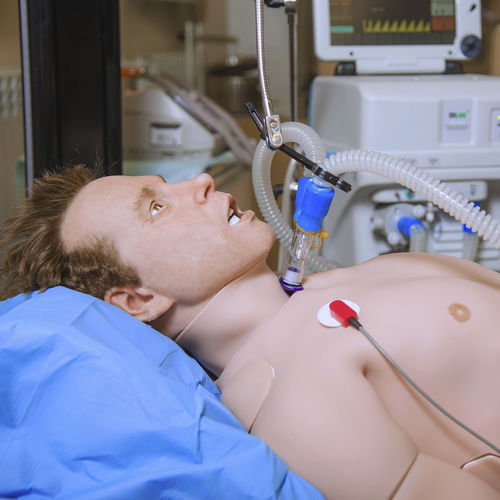 intensive care patient simulator - MedVision Group