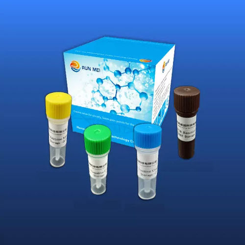 COVID-19 detection kit - HUNAN RUNMEI GENE TECHNOLOGY CO.,LTD - coronavirus / for RT-PCR