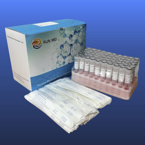 Laboratory sample tube - 3822009000 - HUNAN RUNMEI GENE TECHNOLOGY CO.,LTD - with flat-bottom / nasopharyngeal / nasal